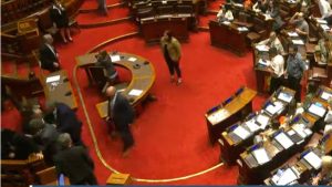 ana-olivera-caida-nueva