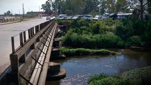 informe-bea-carrascolor