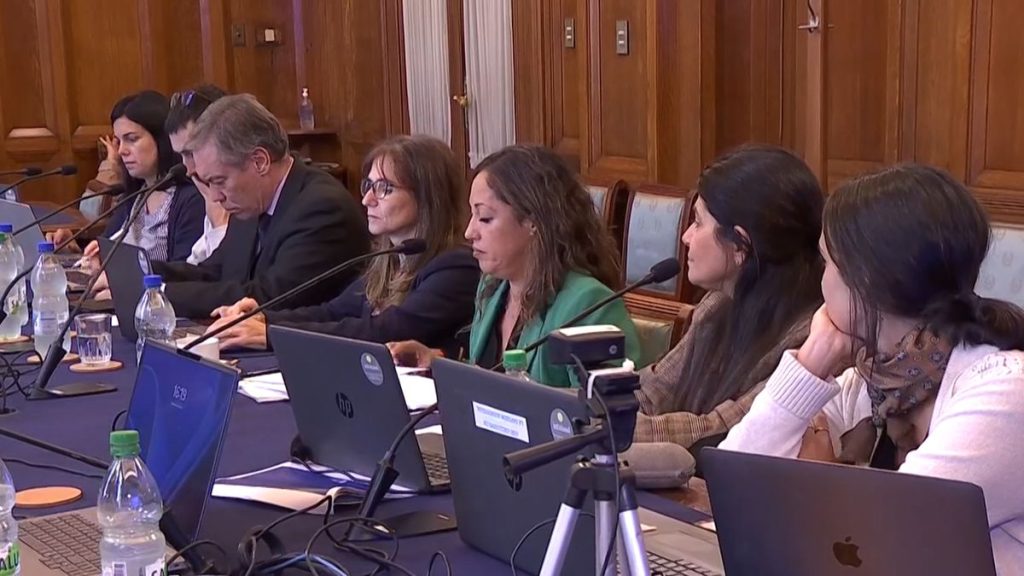 ministra-de-industria-en-comision-senado