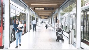 sistema-transporte-nuieva