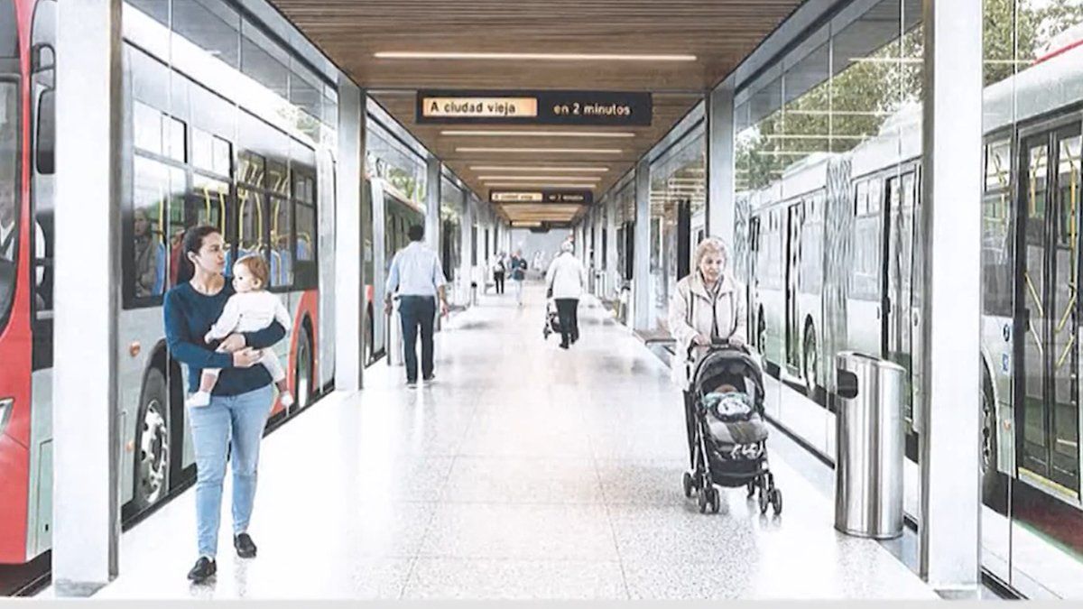 sistema-transporte-nuieva