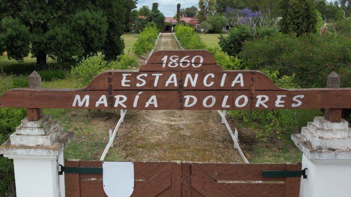 oposicion-maria-dolores-